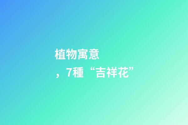 植物寓意，7種“吉祥花”